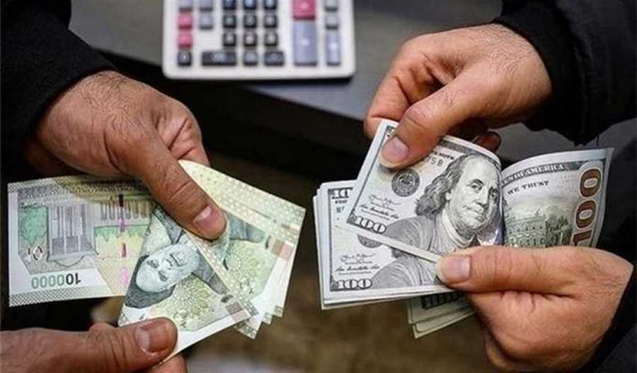 حذف ارز ترجیحی یک جراحی بزرگ اقتصادی است