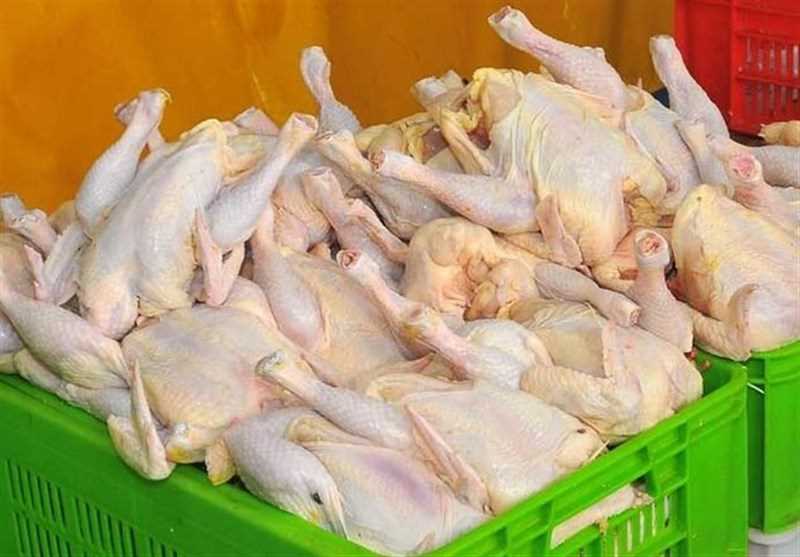 تأمین گوشت مرغ بازار/ برخورد جدی با گران‌فروشان