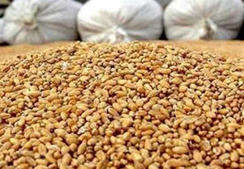 بسته حمایتی دولت برای تولیدکنندگان پس از حذف ارز 28500