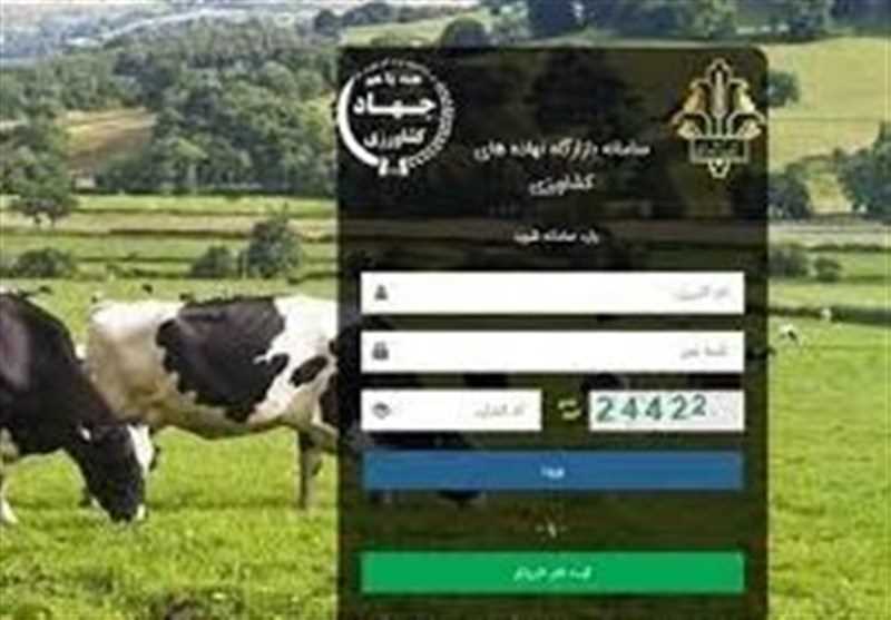 عرضه نهاده‌های دامی در بازاگاه چندین برابر تقاضا شد